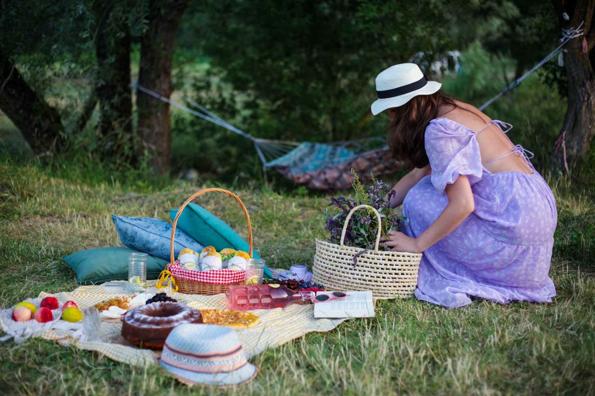 საპიკნიკე შეთავაზება